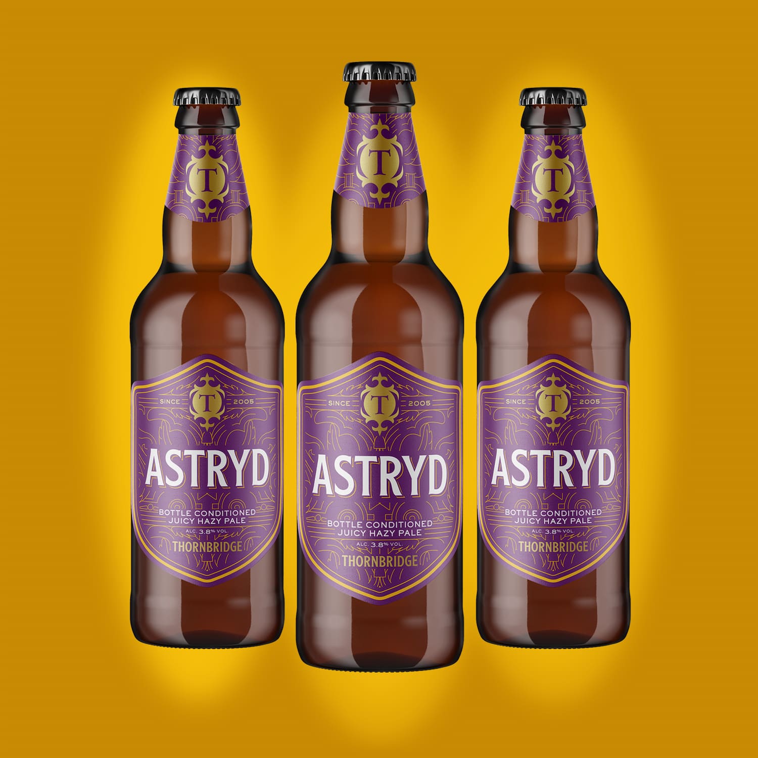 Astryd, Juicy Pale Ale 3.8% 8 X 500ml Bottles